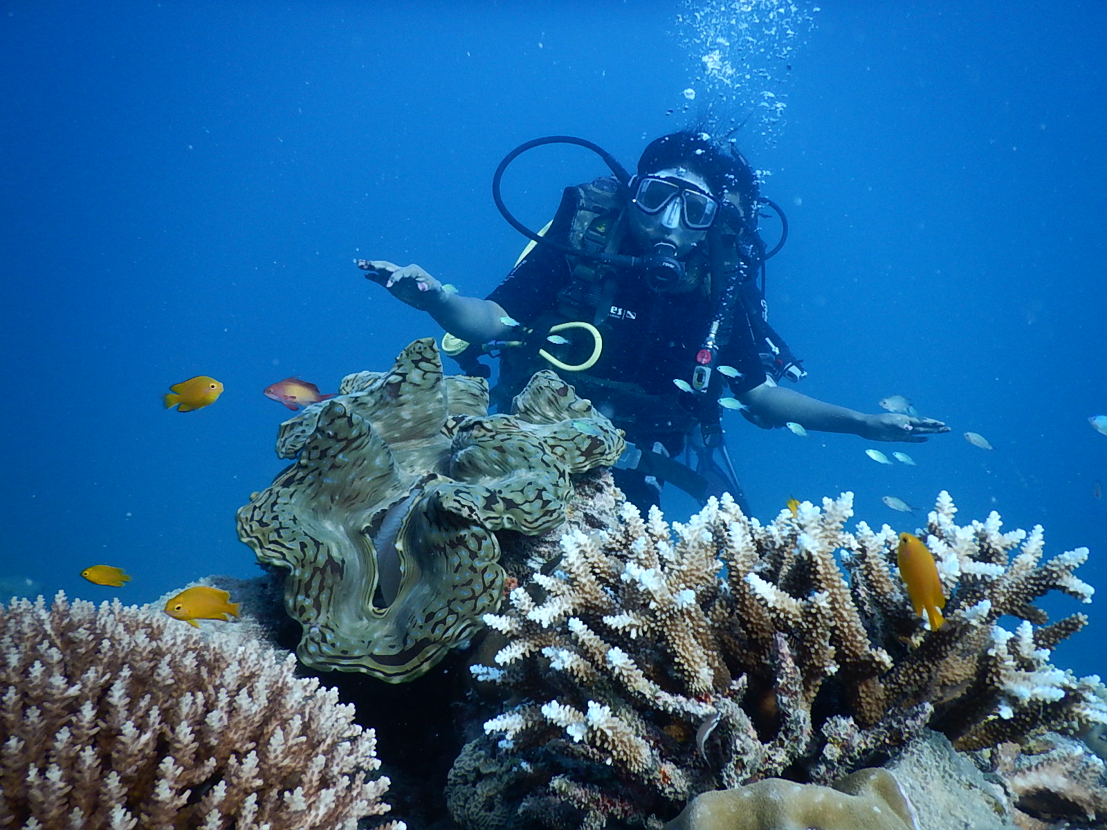 Scuba Diving-Andaman