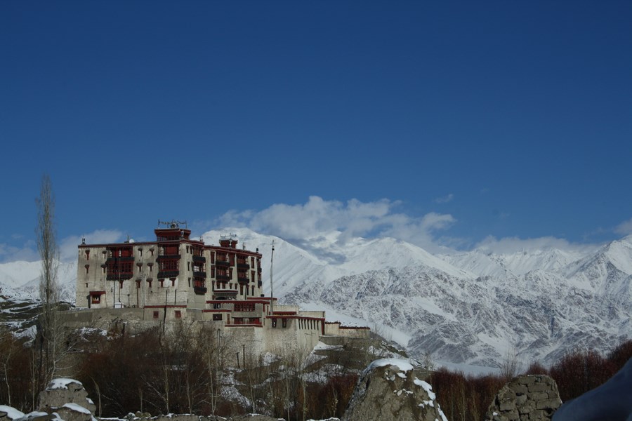 Stok Palace Heritage Legacy Of Ladakh Noble House Tours Pvt Ltd