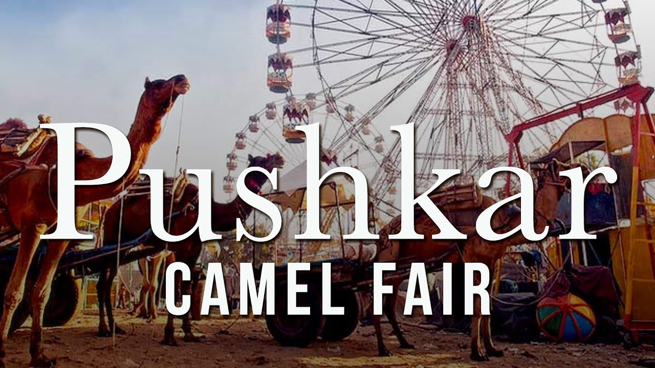 Pushkar Camel Fair 2023 - Group Tour | Noble House Tours Pvt. Ltd.